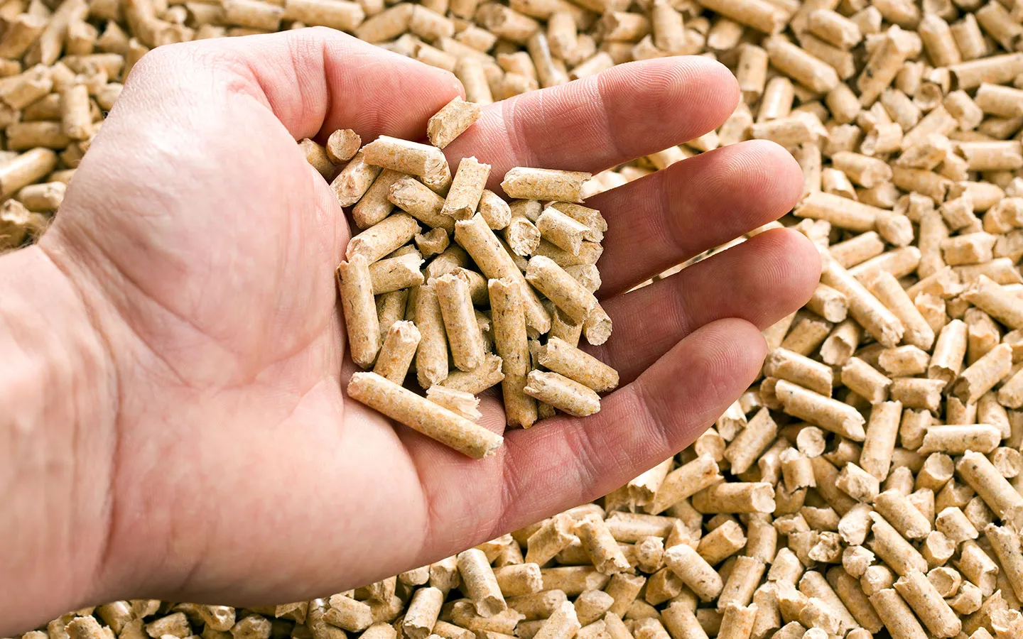 Beratung und Installation einer Pellet-Heizung durch Schürmann & Voss