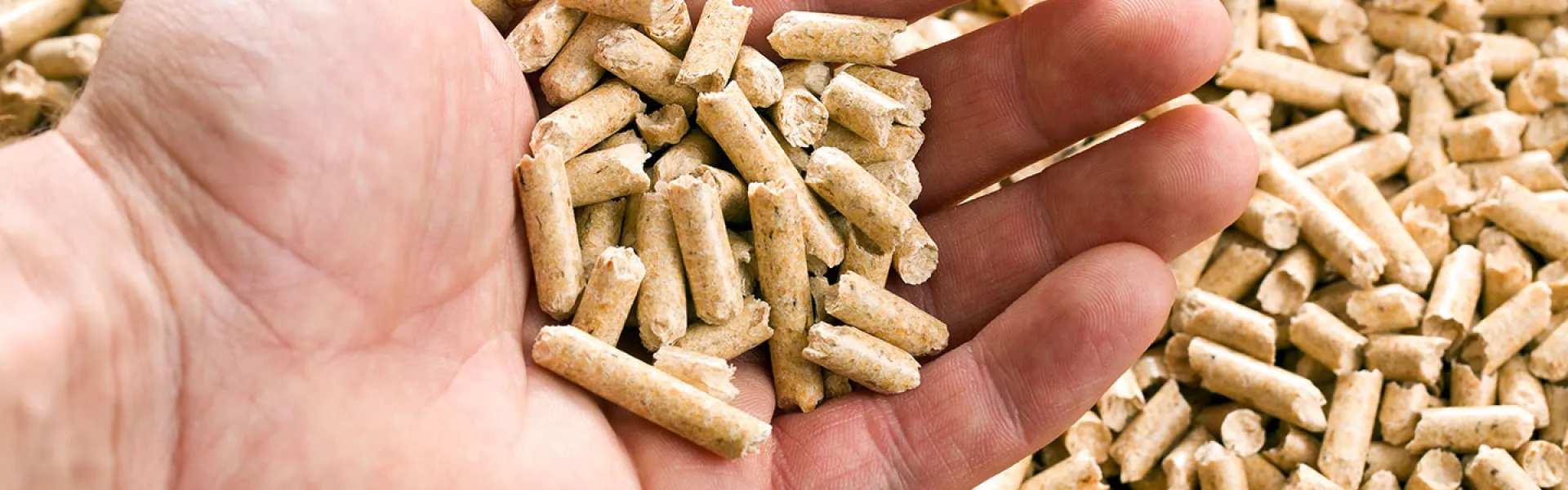 Beratung und Installation einer Pellet-Heizung durch Schürmann & Voss